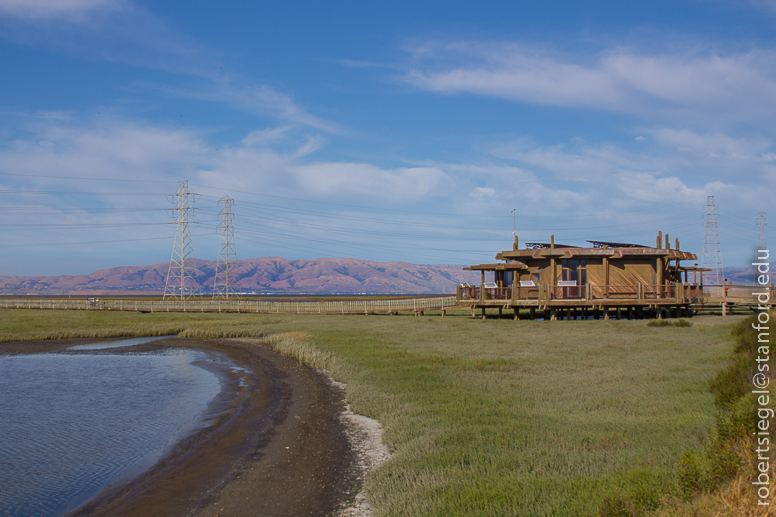 baylands